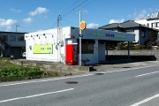 10016091384.jpg