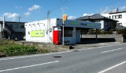 10016091384.jpg