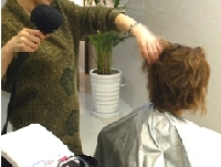 83X8360815B838082Q.jpg