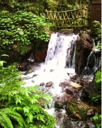 2009051716400000 (1).jpg